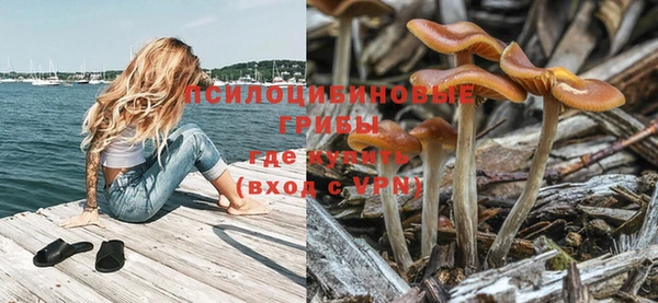 mix Арсеньев