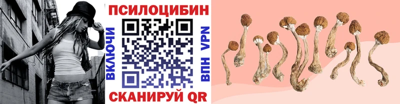 Псилоцибиновые грибы Psilocybine cubensis Балабаново